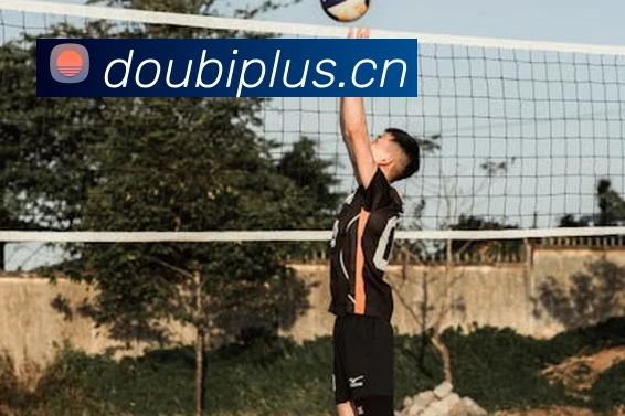 九游j9官方官网服务体系